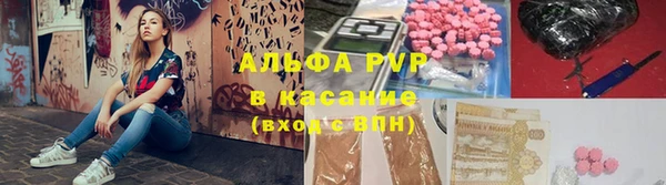ПСИЛОЦИБИНОВЫЕ ГРИБЫ Горно-Алтайск