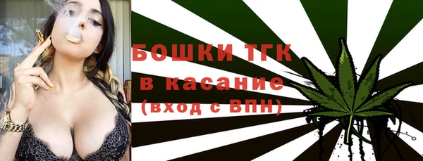 ПСИЛОЦИБИНОВЫЕ ГРИБЫ Горно-Алтайск