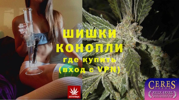 ПСИЛОЦИБИНОВЫЕ ГРИБЫ Горно-Алтайск