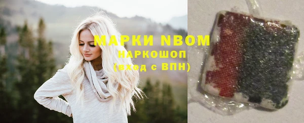 ПСИЛОЦИБИНОВЫЕ ГРИБЫ Горно-Алтайск