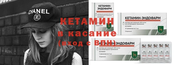 ПСИЛОЦИБИНОВЫЕ ГРИБЫ Горно-Алтайск