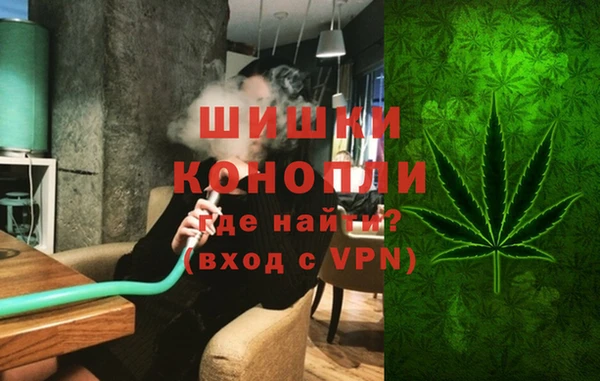 ПСИЛОЦИБИНОВЫЕ ГРИБЫ Горно-Алтайск