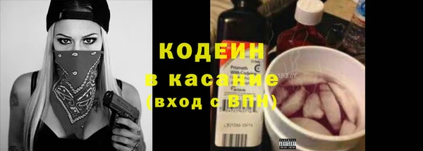 ПСИЛОЦИБИНОВЫЕ ГРИБЫ Горно-Алтайск