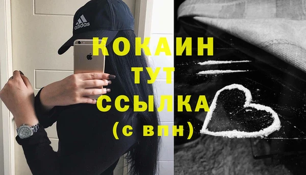 ПСИЛОЦИБИНОВЫЕ ГРИБЫ Горно-Алтайск
