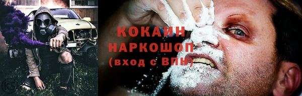 ПСИЛОЦИБИНОВЫЕ ГРИБЫ Горно-Алтайск