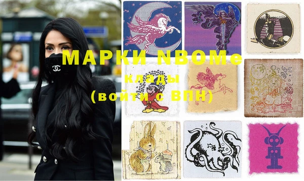 ПСИЛОЦИБИНОВЫЕ ГРИБЫ Горно-Алтайск