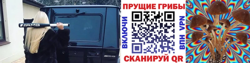 Псилоцибиновые грибы Cubensis  Купить где  Севск 